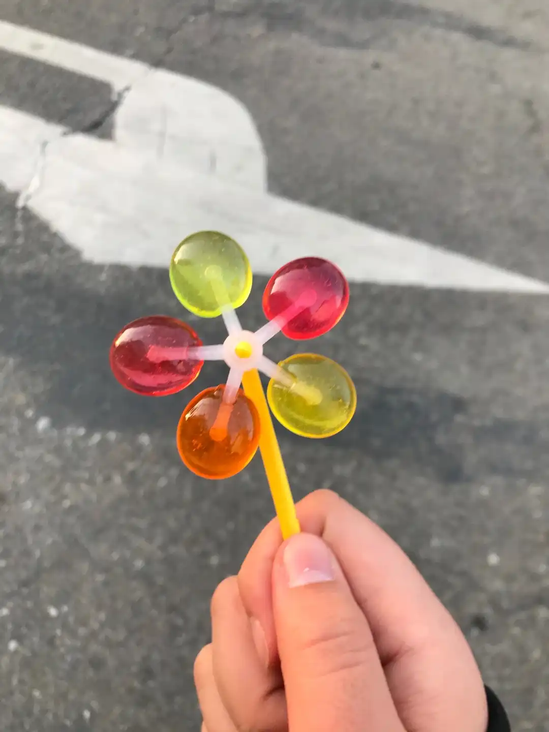 아뵤오카도