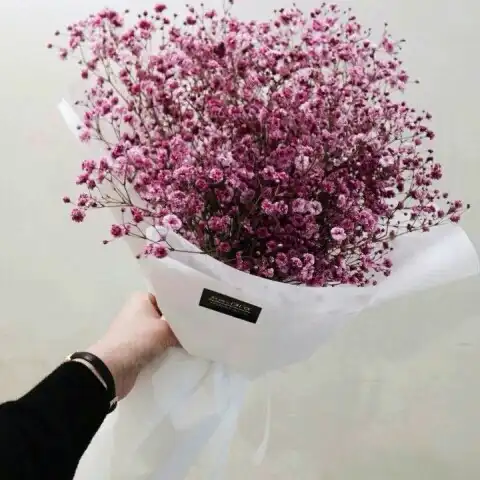 꽃다운나이에