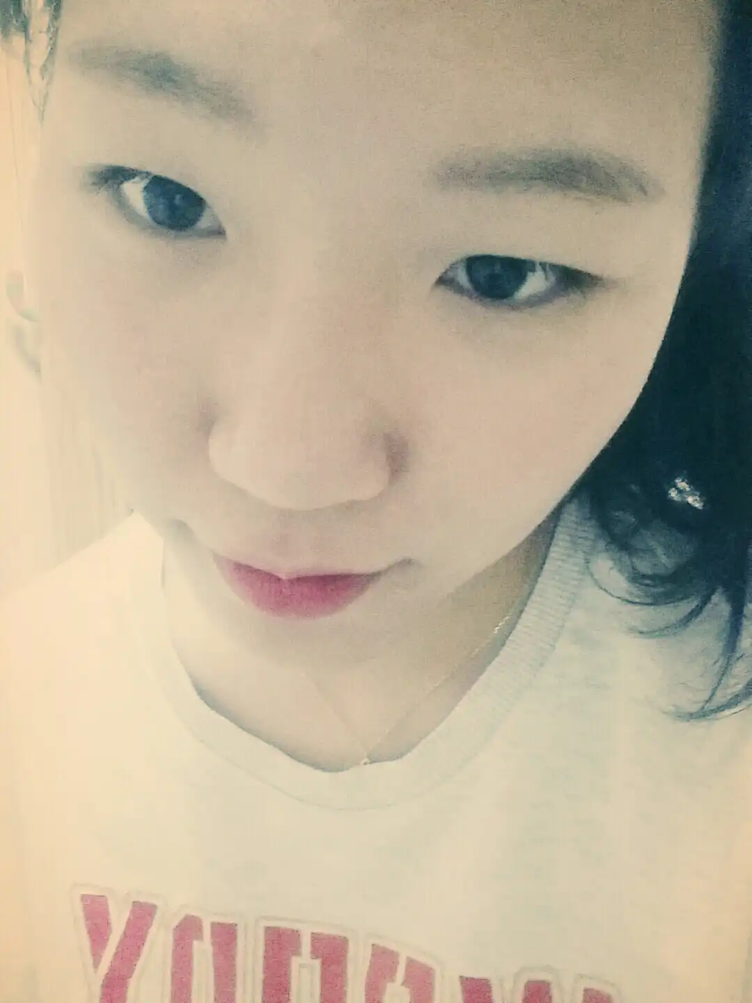 삽살곰은썰