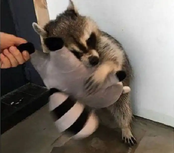 뾰ఌ