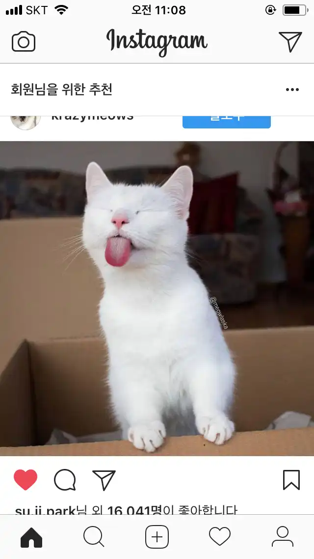 울언니코코덕