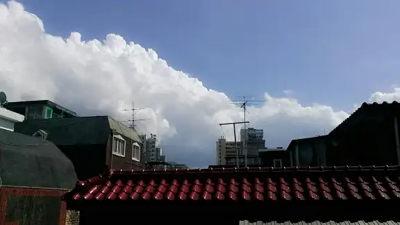 유비니