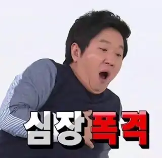오미자구기자
