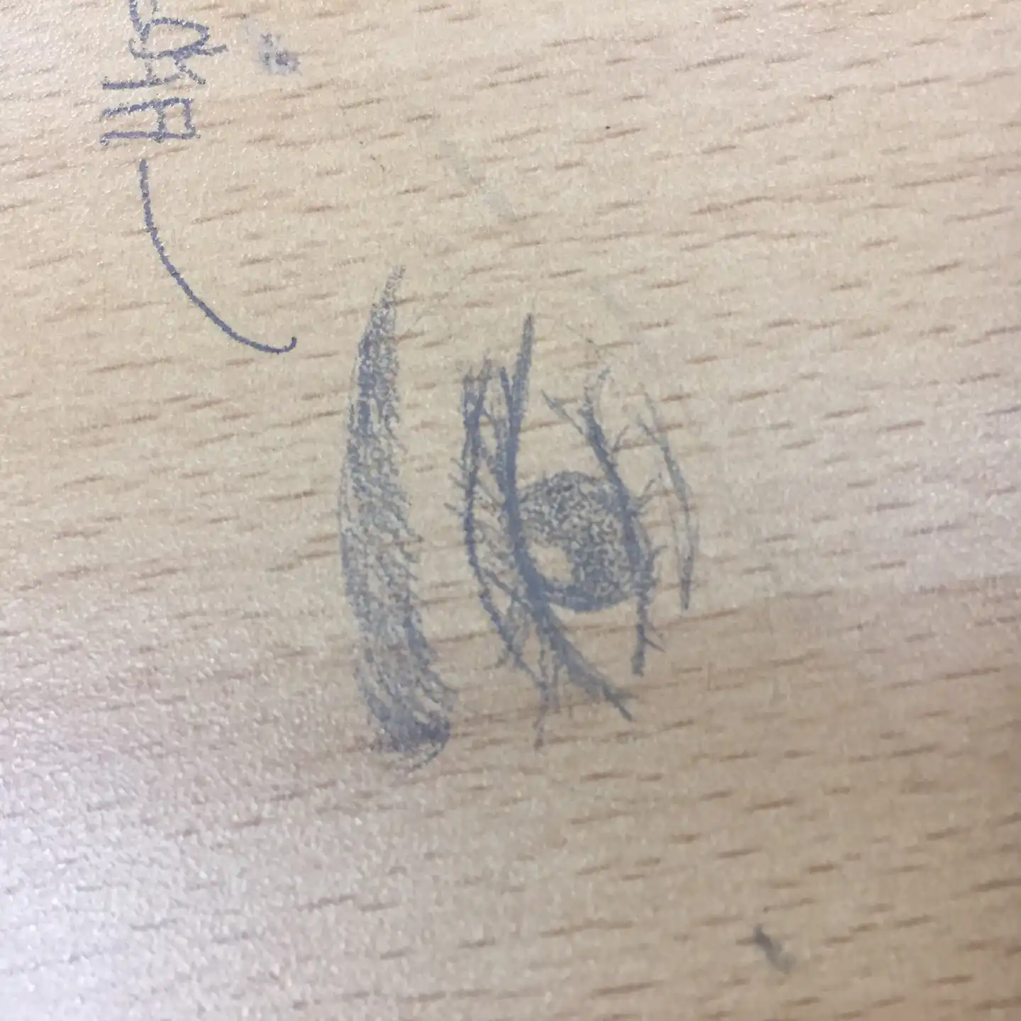 ClaireLili