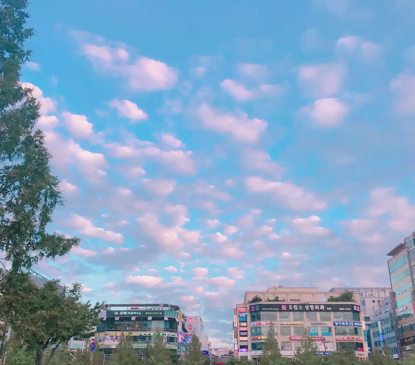 재2짱