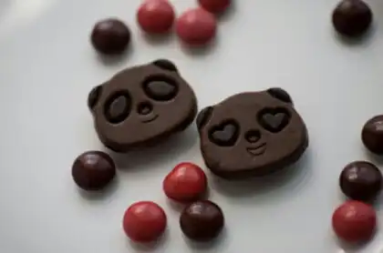 팬도리