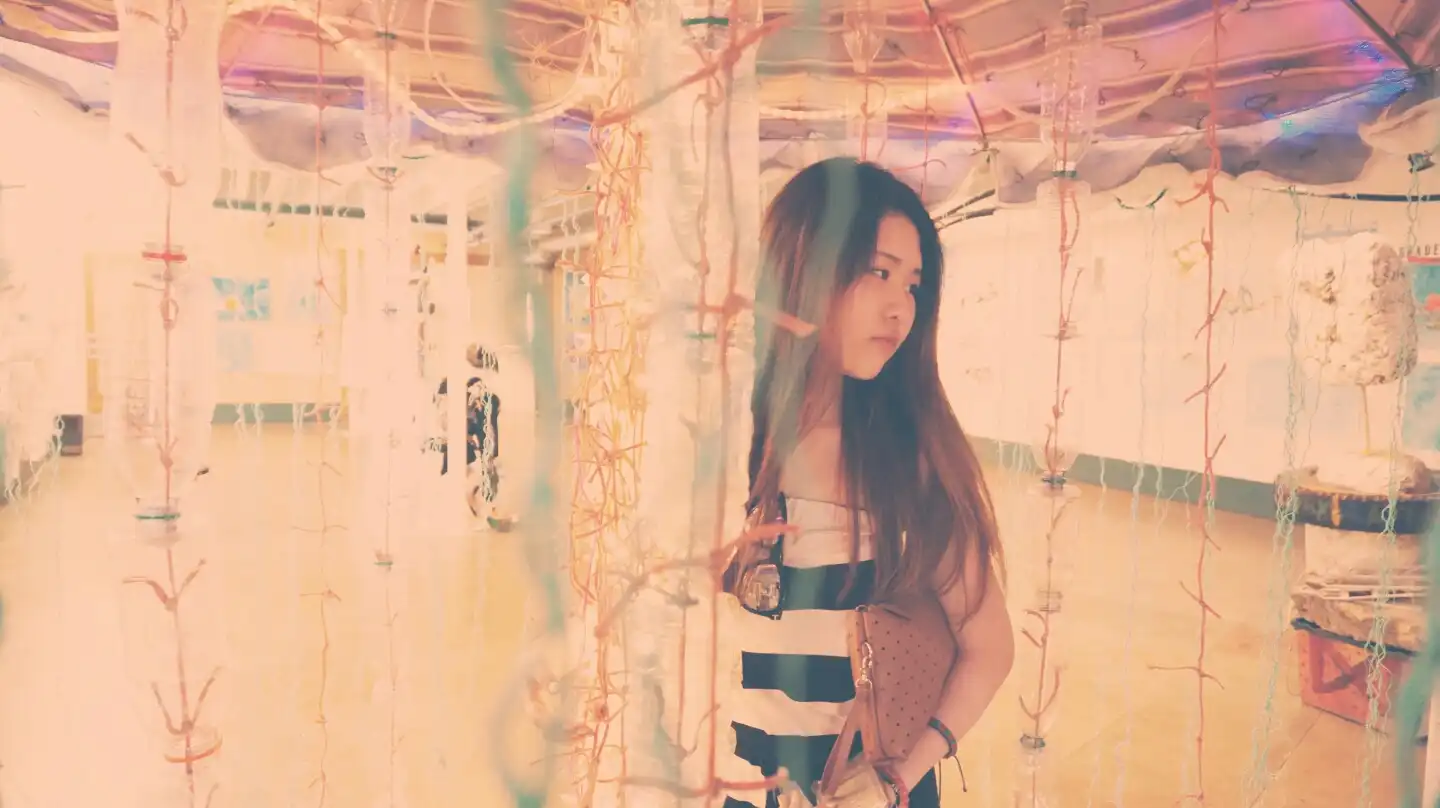 제다