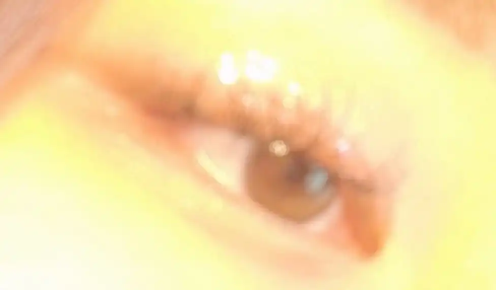 soy_9