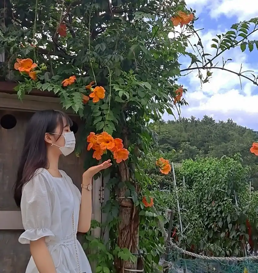 뒷다리올챙이