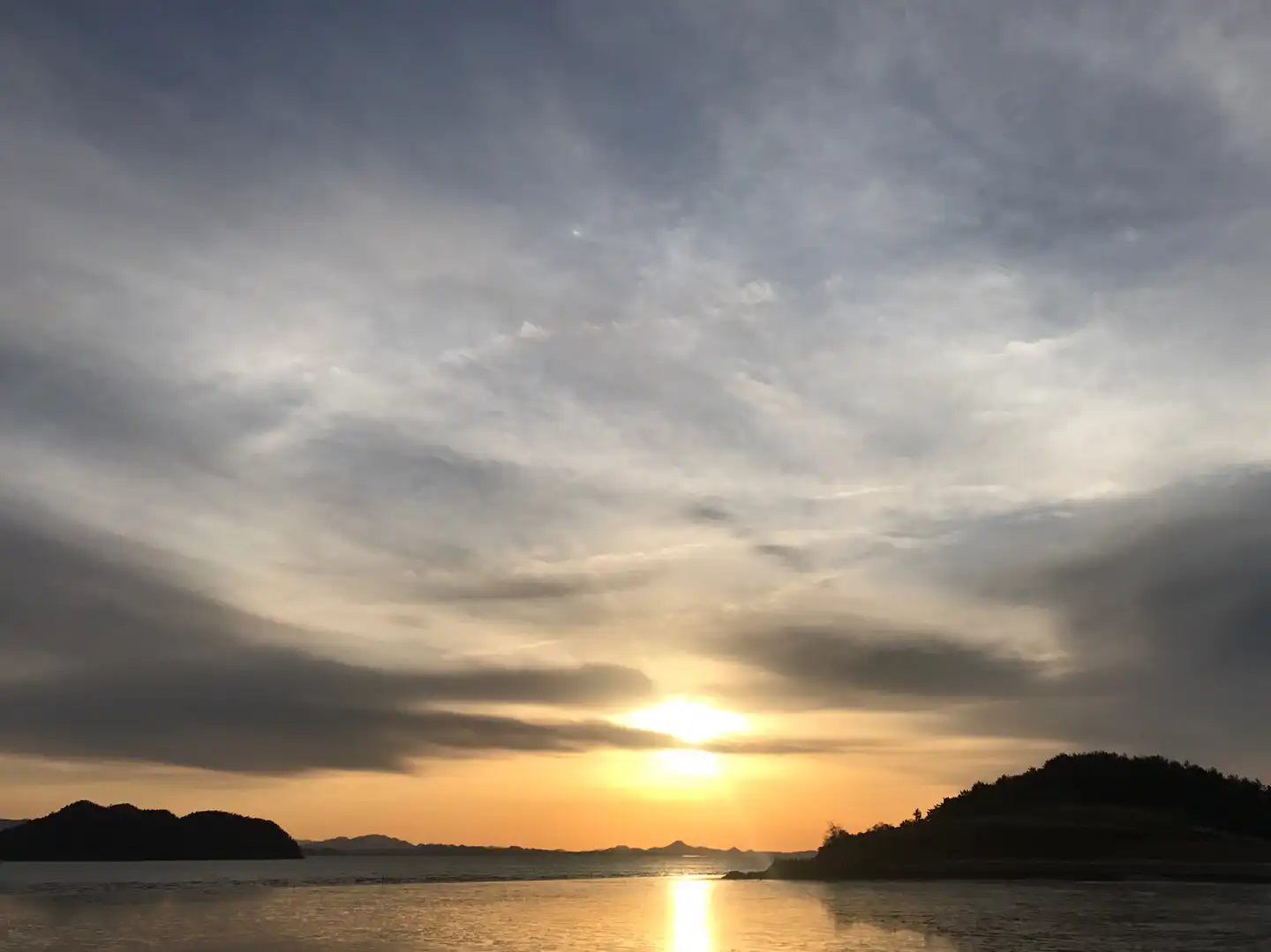 미드나잇쥬