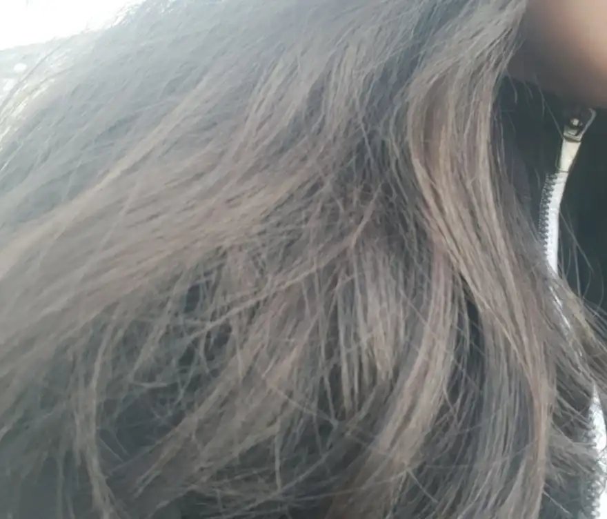 판다냥