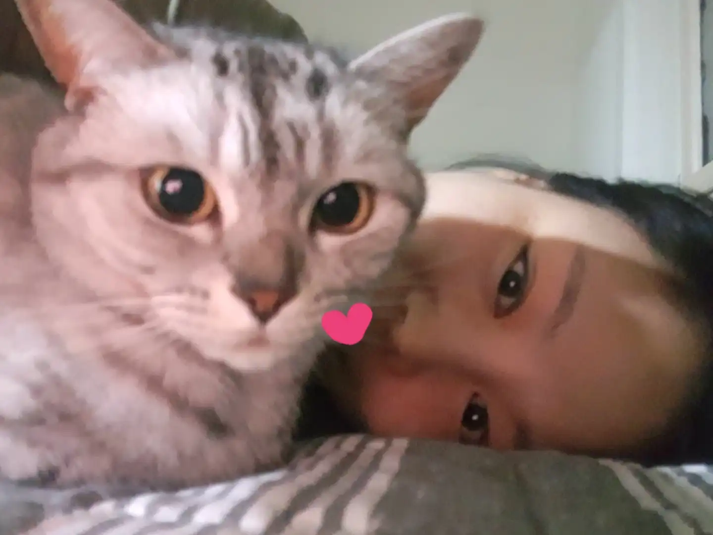 붕붕사랑
