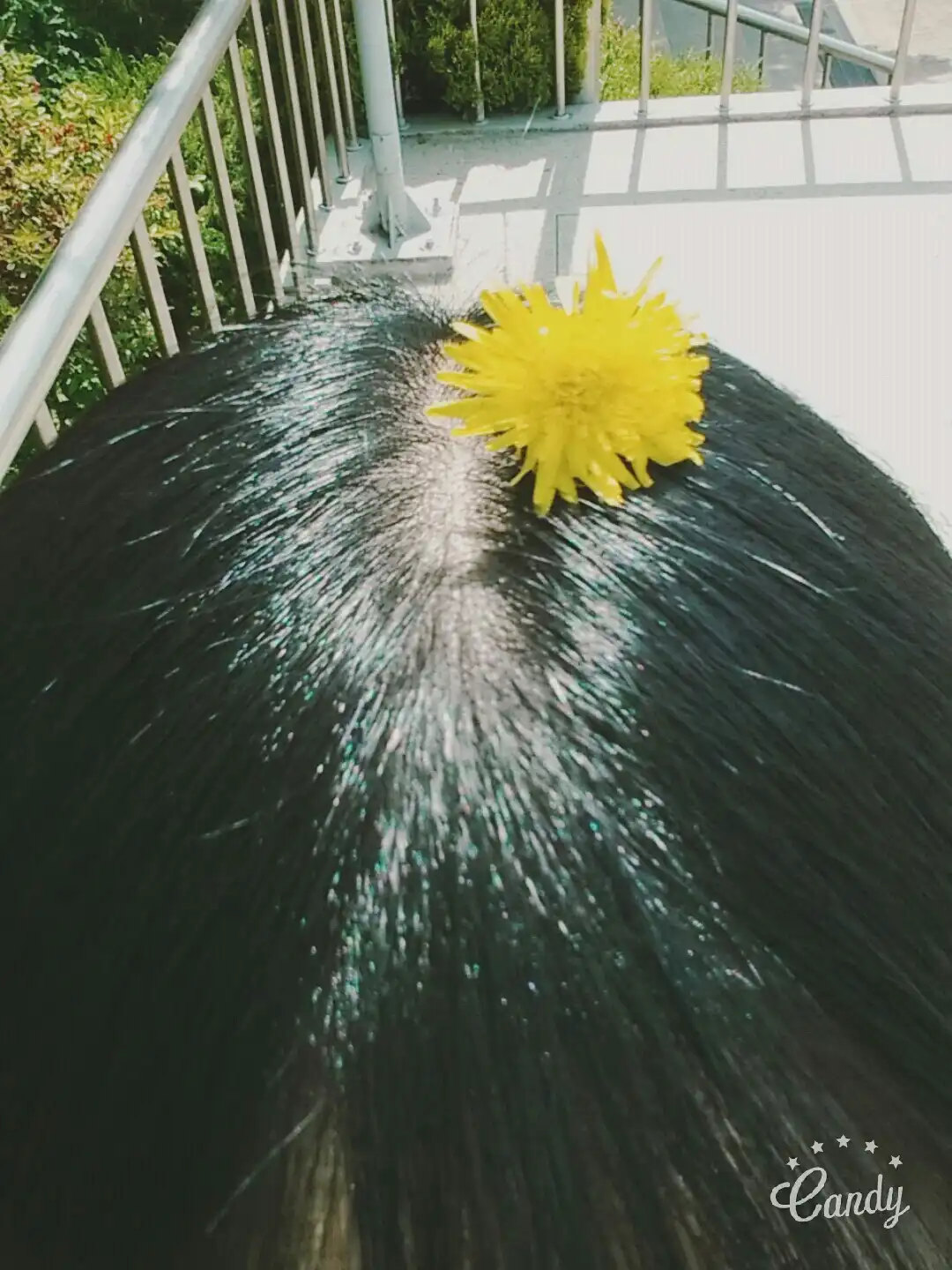 l자몽자몽l