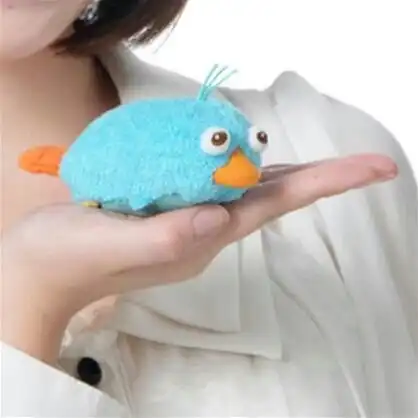 페리가죻아