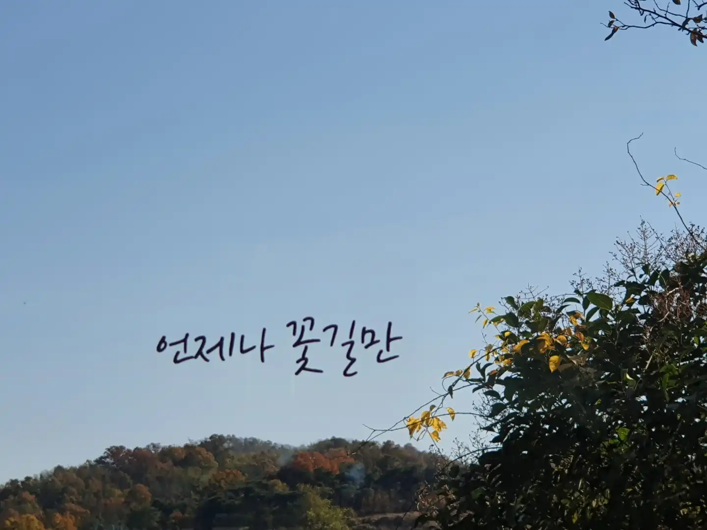 순간의기록