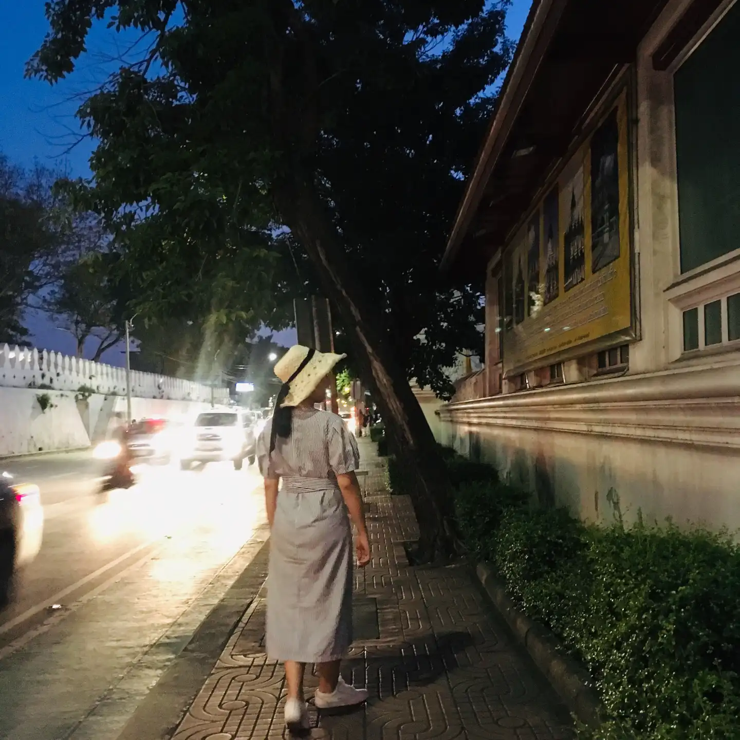 도도씅