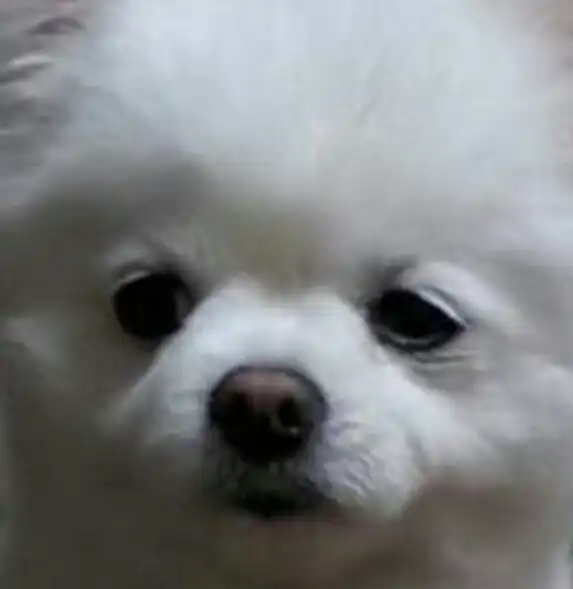 사랑헤