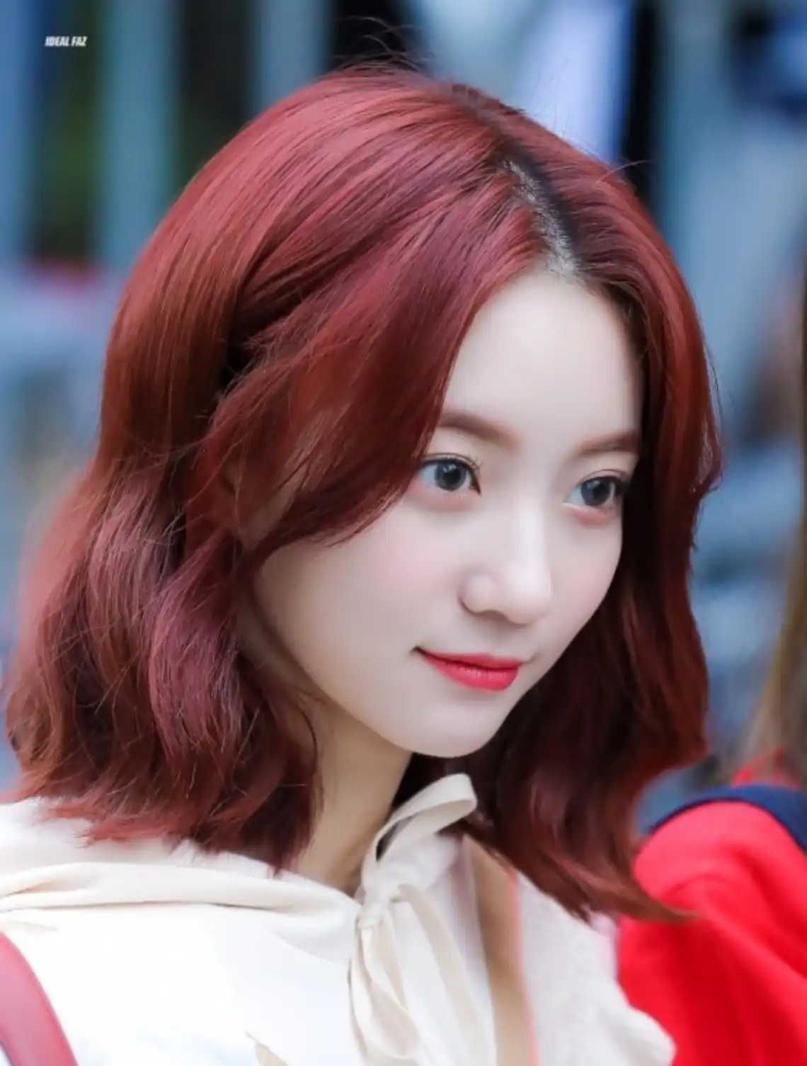 비니만보는사람