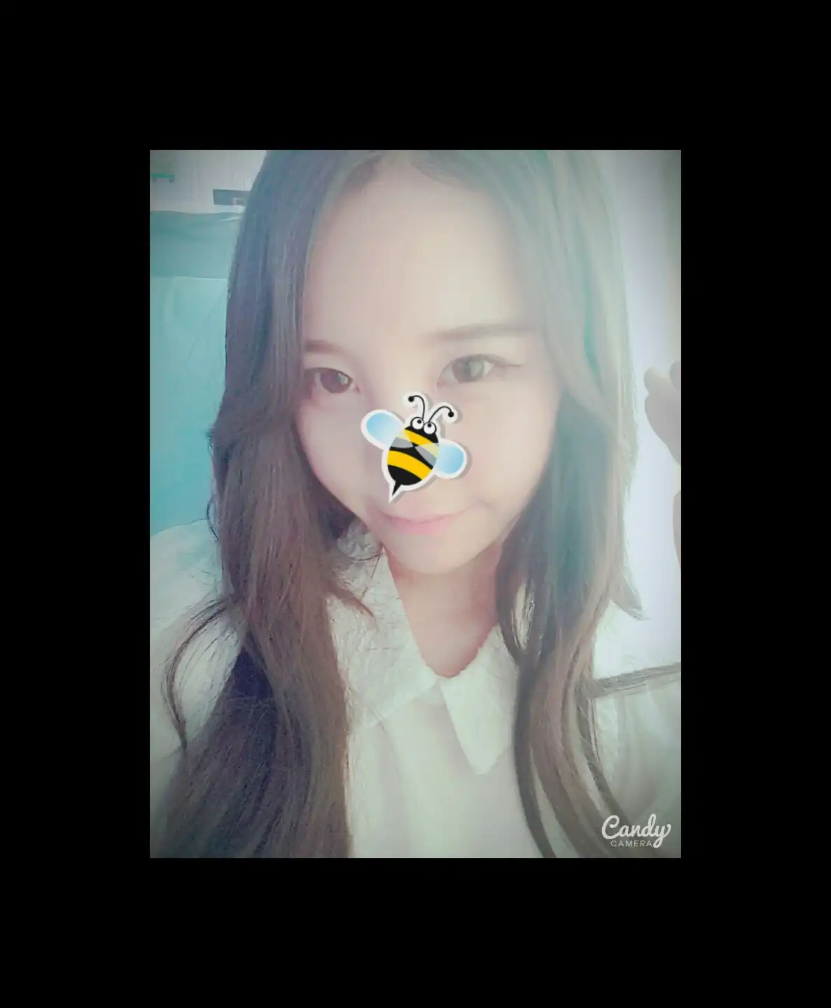 콧대를찾아서