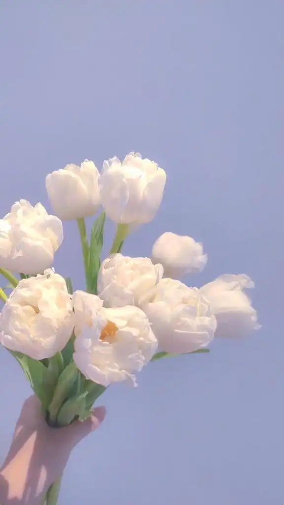 봄옹