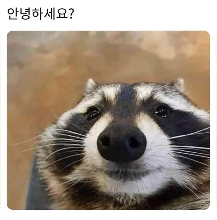 피타는노력1