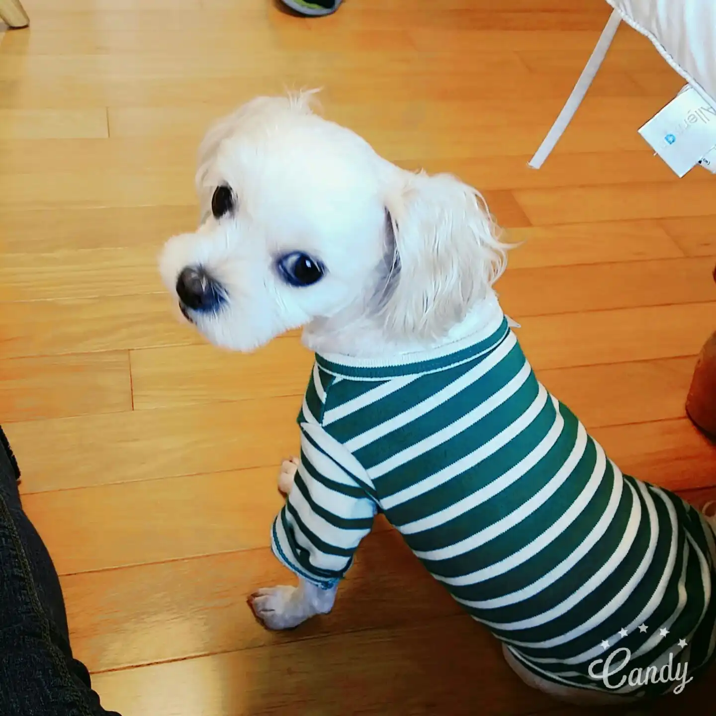 몽찌루