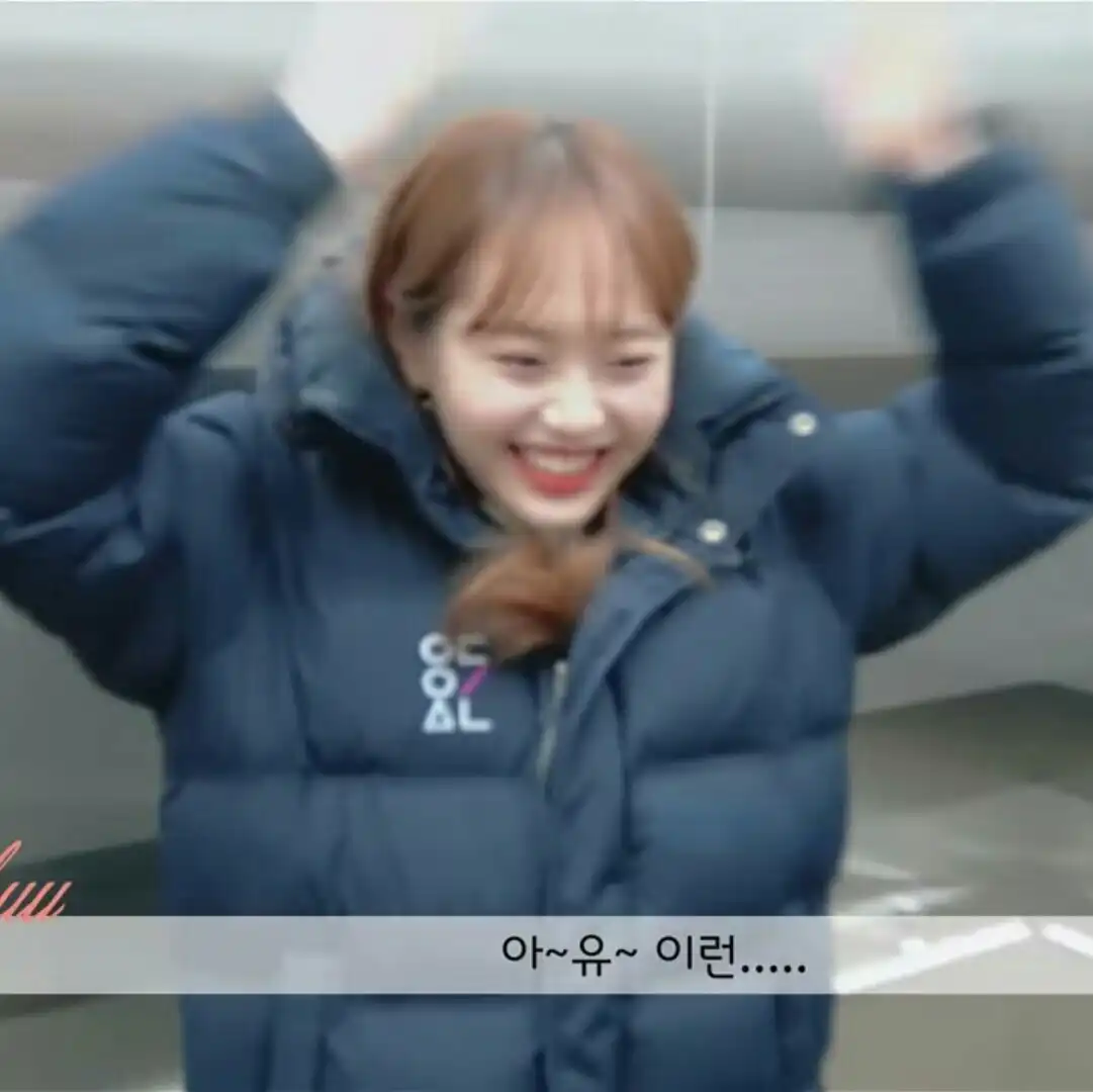 앵초_