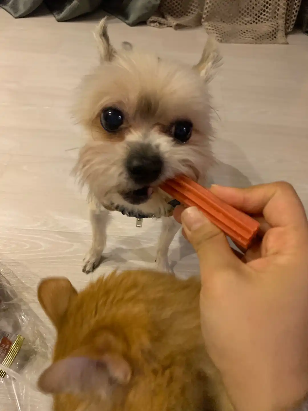 또브로