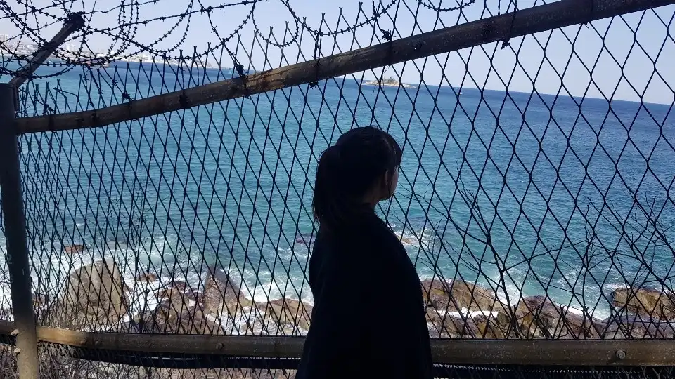 비스부