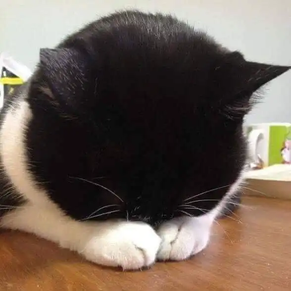 귀요밍ㅎ