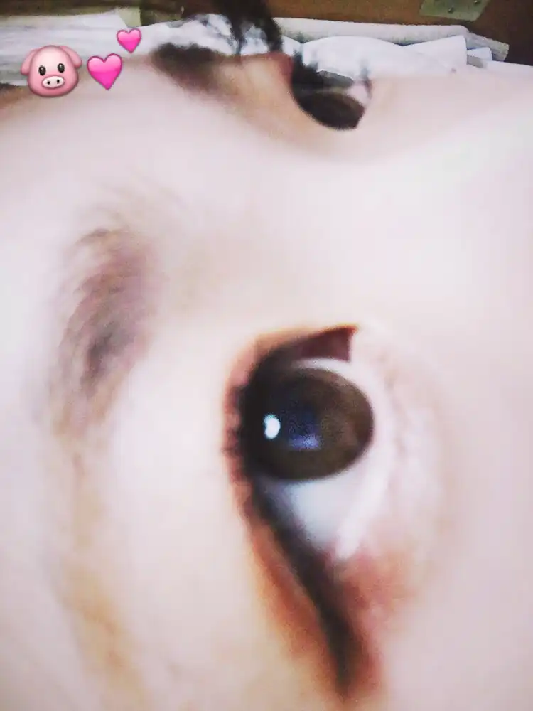 도HGㅣ