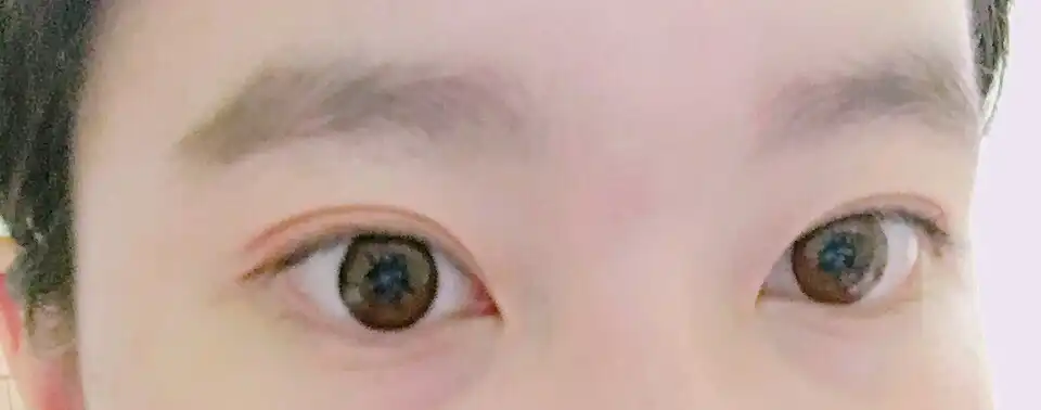 간년이