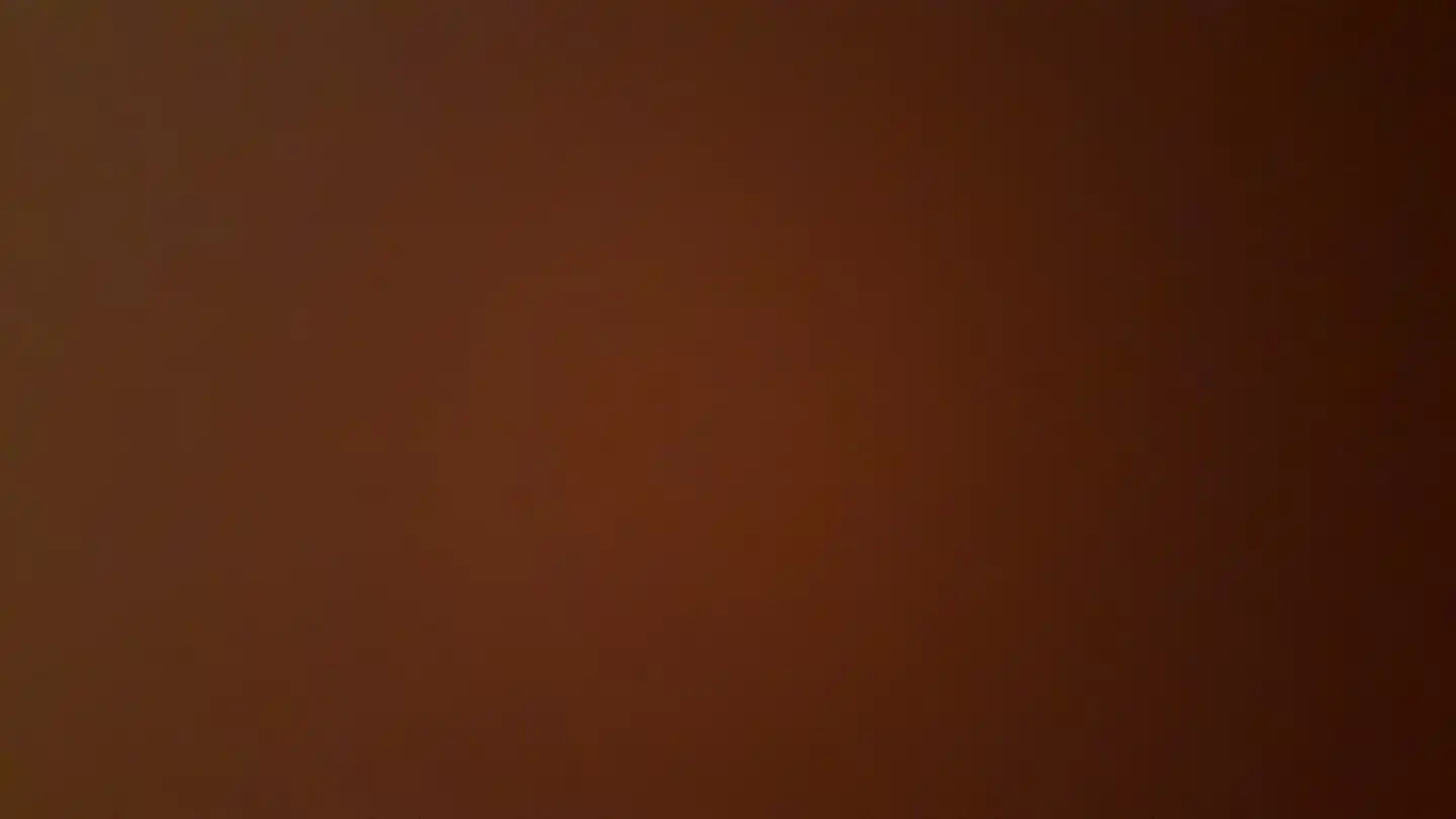 나팽팽