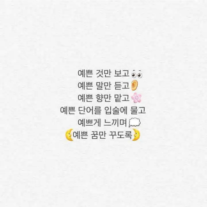 하리보보