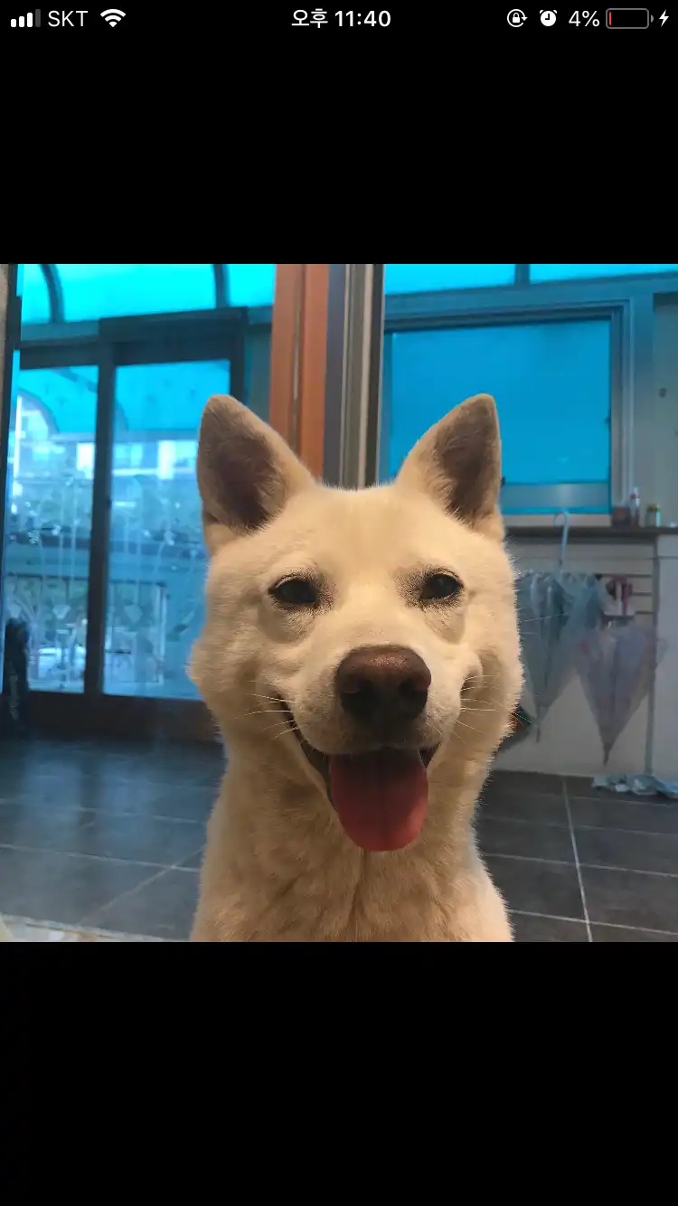 단무지행님