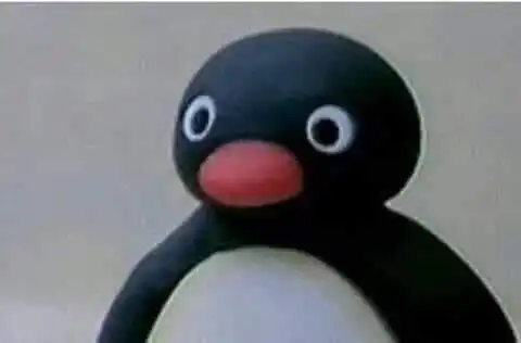 콩진호콩진호