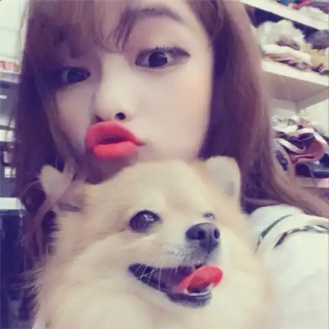몽귤