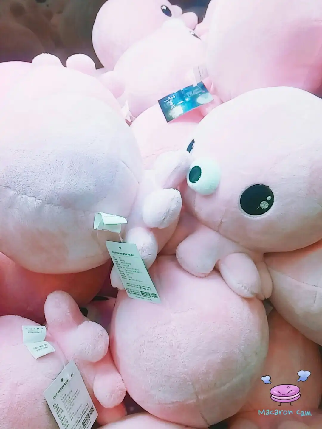 늙지않을것이야