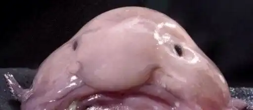 ㅣㅣㅜㅜ
