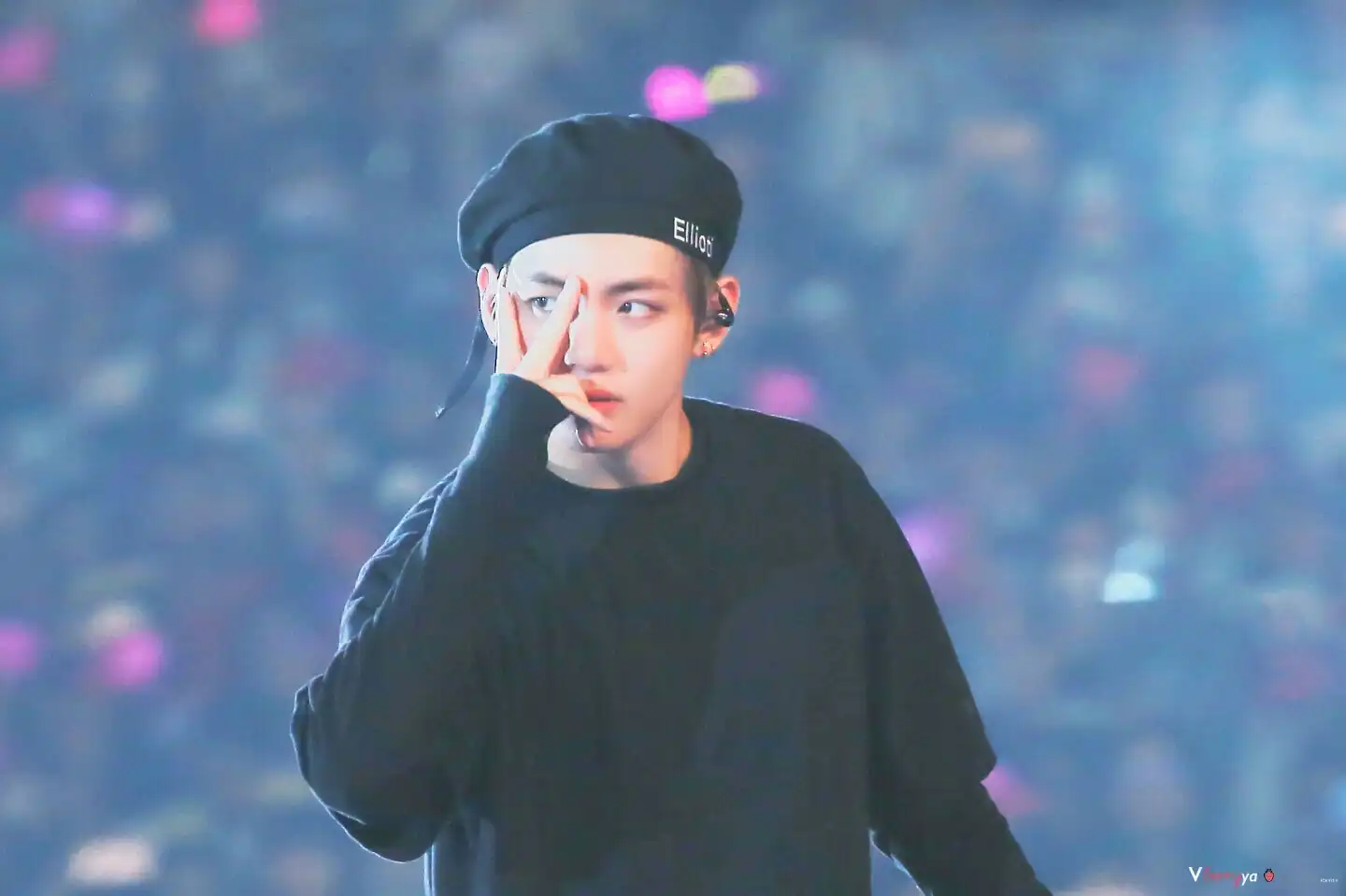 방탄소년단보라해