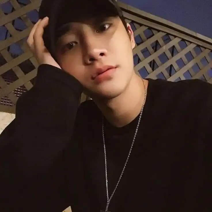 바보유니콘