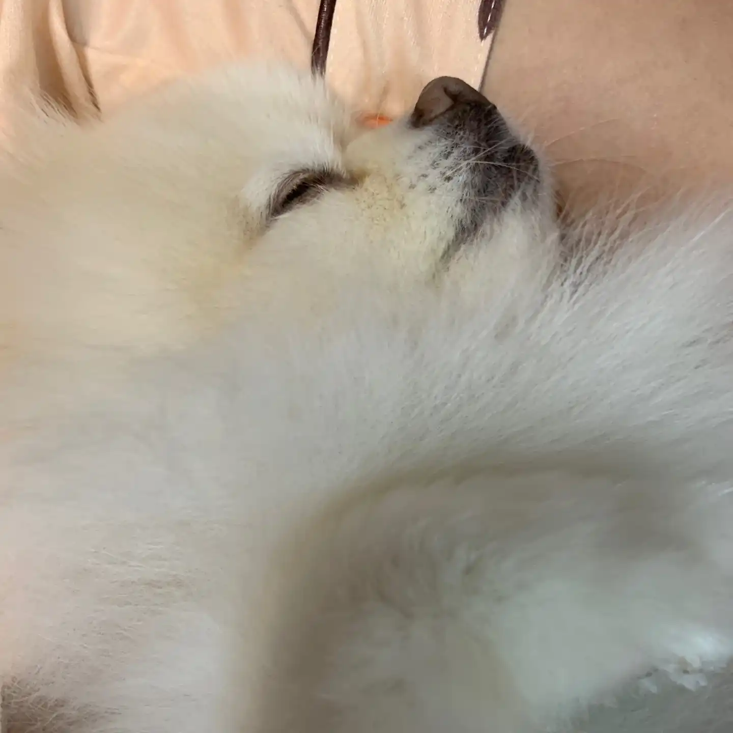 민서다임마
