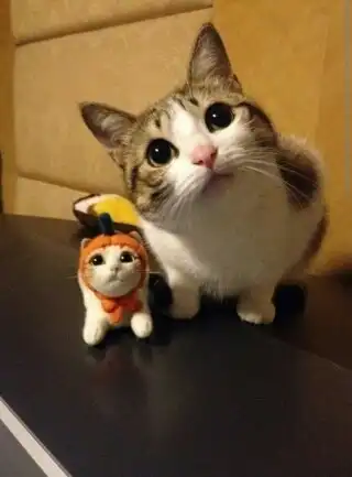 황당당황