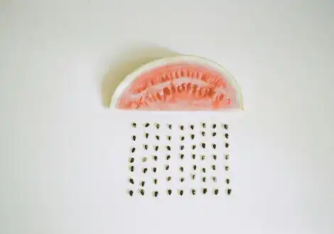 밍슝생슝