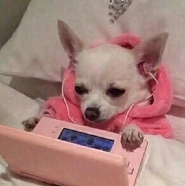 유냥댕