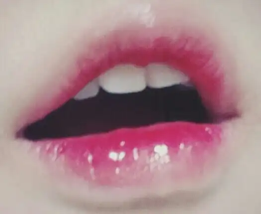 팬더00