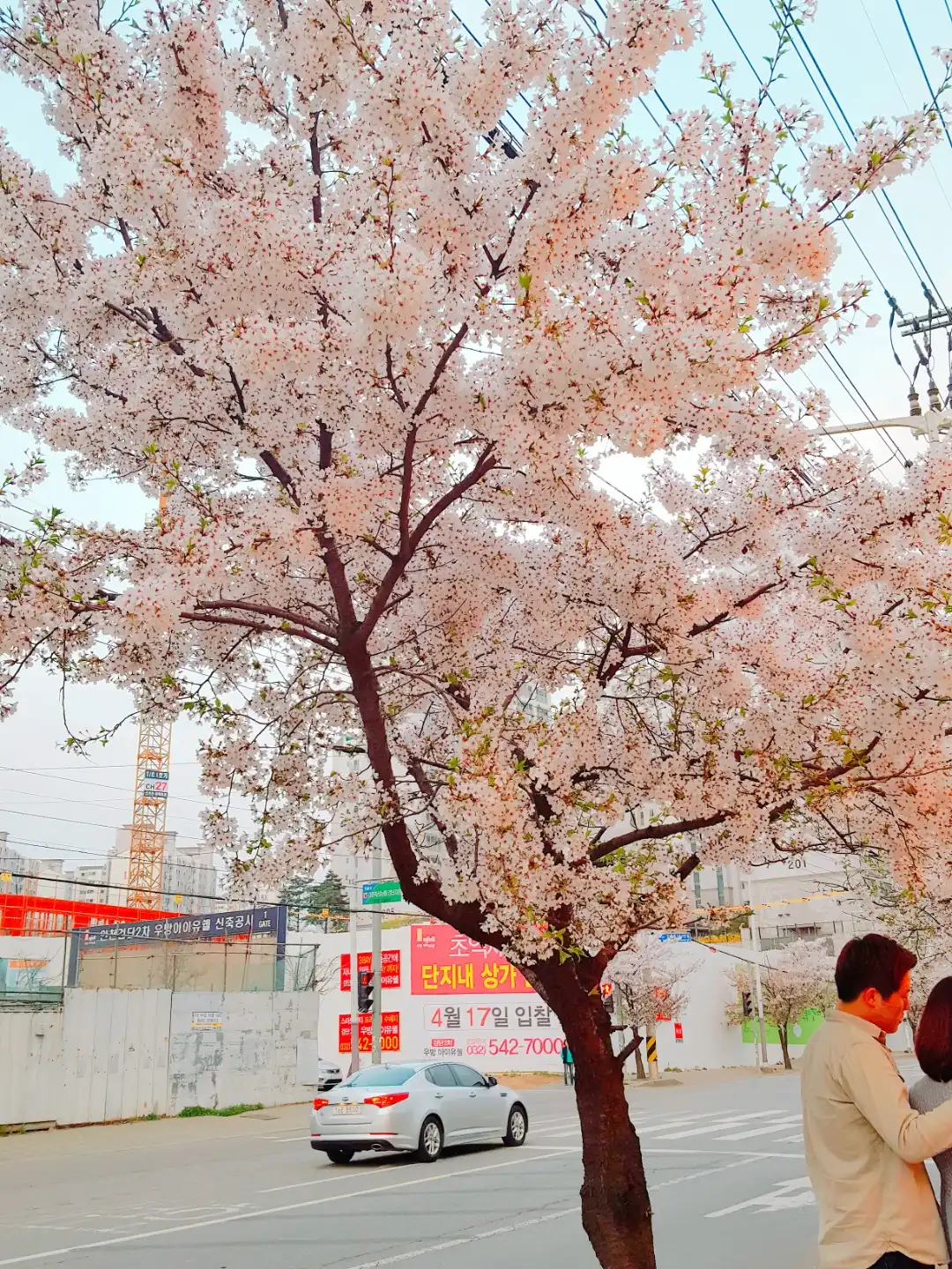 몰래온손