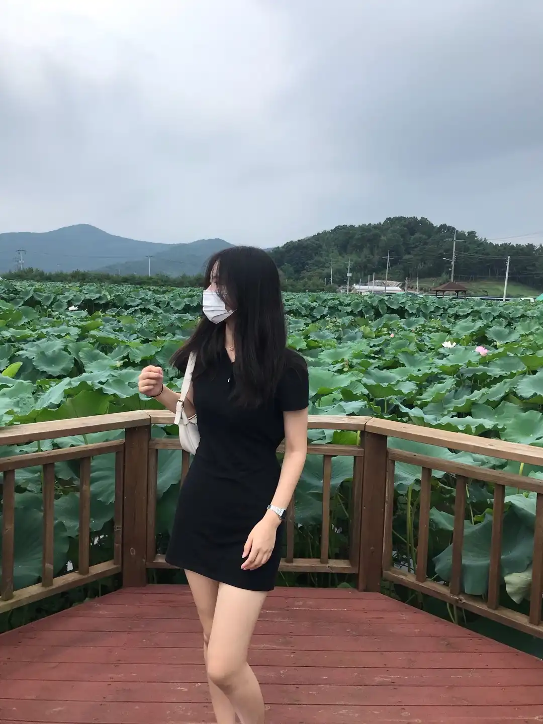 문효섭