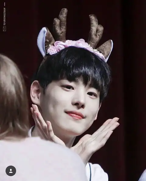 모아녀