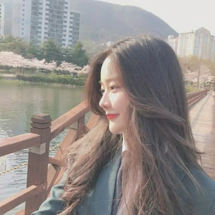 올리브이